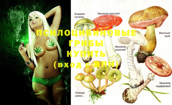 герыч Алексеевка