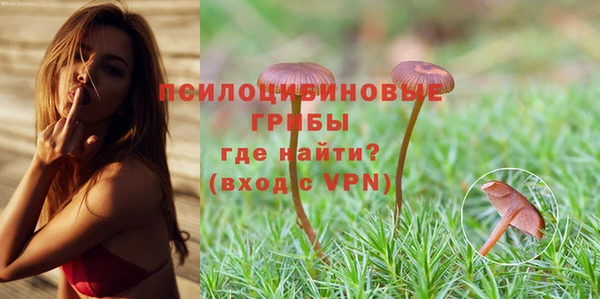 молекула духа Алексин