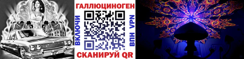 Псилоцибиновые грибы Cubensis  Холм 